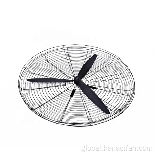 Metal Blade Standing Fan Kanasi Plastic Blades Price Cheap Stand Fan Manufactory